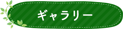 ギャラリー