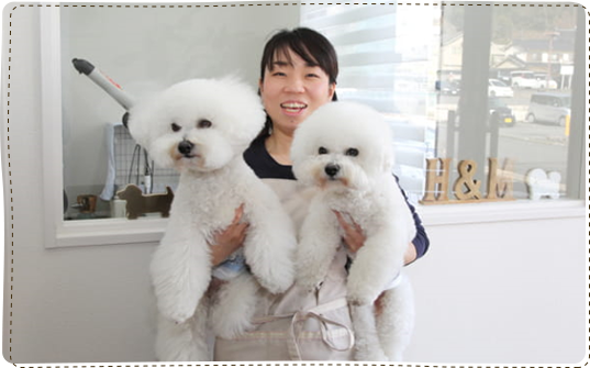 グルーミングサロン Haku to Mai オーナートリマー 海田知香