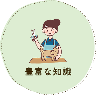 豊富な知識
