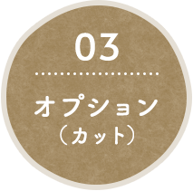 03 オプション（カット）